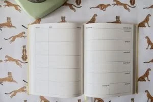 Eenvoudig Leven Agenda_review_2020_mamablogger_agenda_planners_zelfreflectie_
