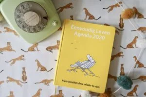 Eenvoudig Leven Agenda_review_2020_mamablogger_agenda_planners_zelfreflectie_