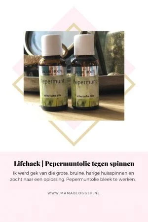 pepermuntolie_mamablogger_lifehack_spinnen_