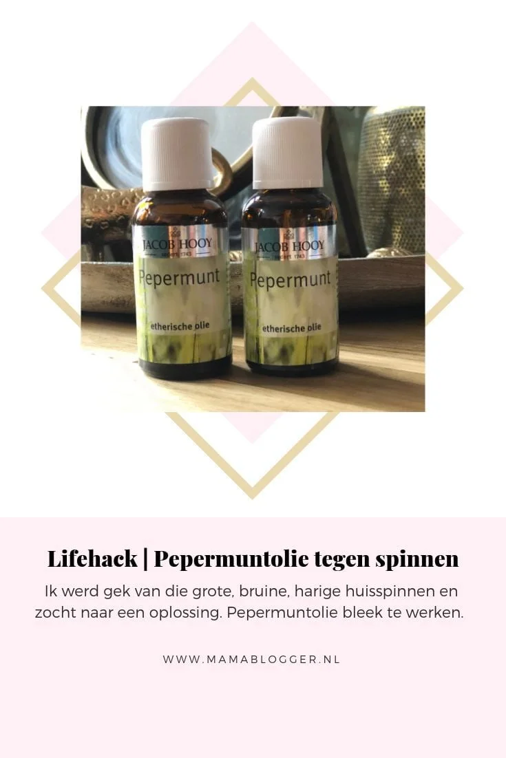 pepermuntolie_mamablogger_lifehack_spinnen_