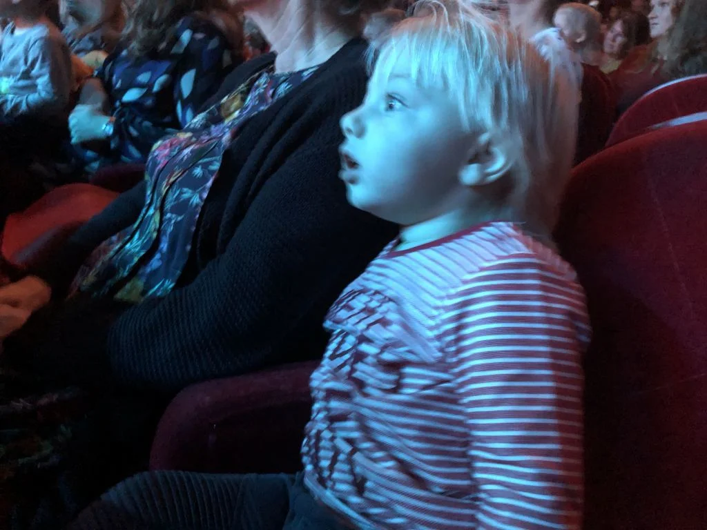 diary_sinterklaas_intocht_persoonlijk_mamablogger_Apeldoorn_