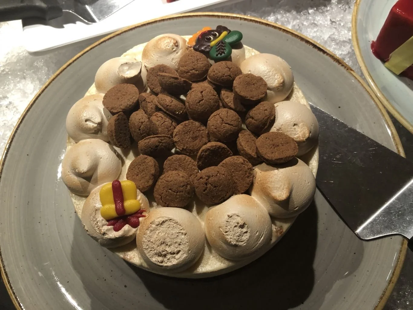Sinterklaasweekend_Apeldoorn_Cantharel_Mamablogger_intocht_