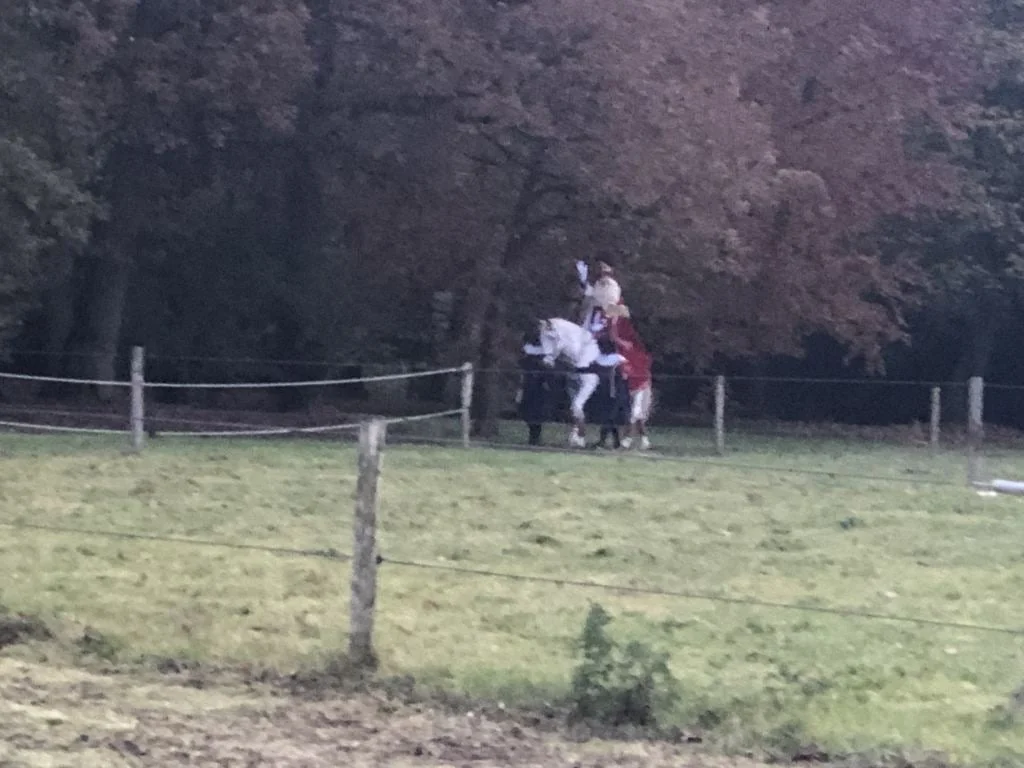 Sinterklaasweekend_Apeldoorn_Cantharel_Mamablogger_intocht_