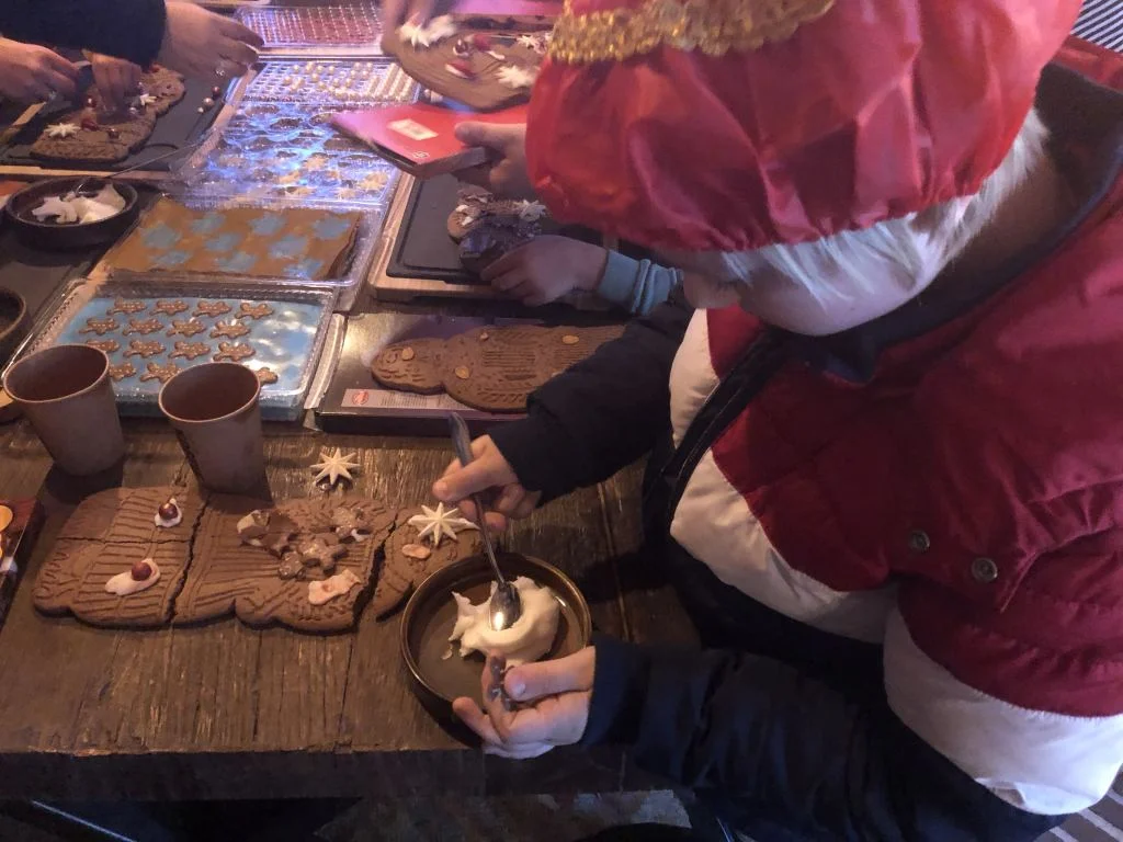 Sinterklaasweekend_Apeldoorn_Cantharel_Mamablogger_intocht_