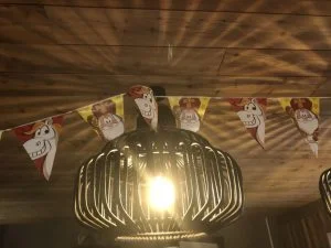 Sinterklaasweekend_Apeldoorn_Cantharel_Mamablogger_intocht_