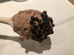verslag_eerste kerstdag_2019_mamablogger_kerst_persoonlijk_