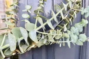 Christmas Countdown_2019_DIY_kerstkrans_voordeur_mamablogger_interieur_