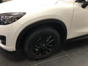 plog_nieuwe_auto_ophalen_schuur_overkapping_mamablogger_persoonlijk_