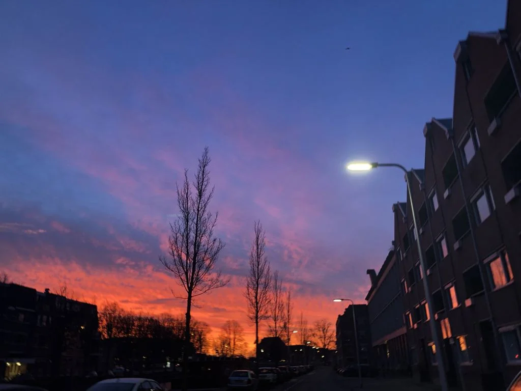 plog_nieuwe_auto_ophalen_schuur_overkapping_mamablogger_persoonlijk_