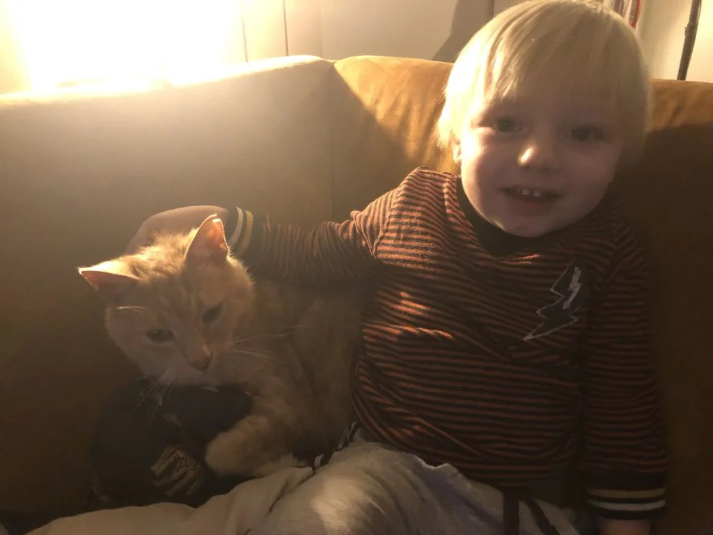 persoonlijk_diary_nieuwe auto_mamablogger_schuur_bioscoop_