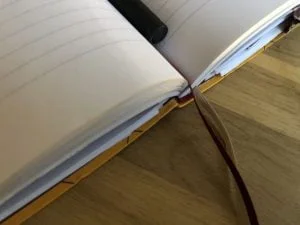 persoonlijk_diary_nieuwe auto_mamablogger_schuur_bioscoop_