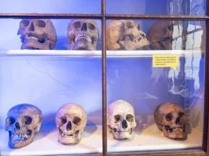 Cold Case Gouda_tentoonstelling_low budget uitje_mamablogger_tip_