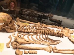 Cold Case Gouda_tentoonstelling_low budget uitje_mamablogger_tip_