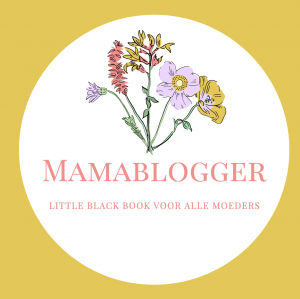 achter de schermen_rustige periode_bloggen_mamablogger_
