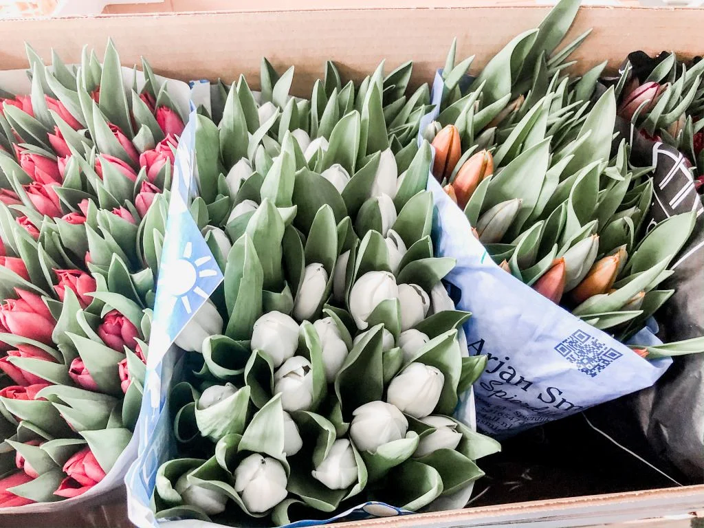 plog_thuiswerken_tulpen uitdelen_huiswerk_werkstuk_mamablogger_persoonlijk_