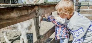 diary_vrolijkste foto's_afgelopen_week_persoonlijk_mamablogger_