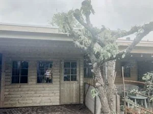 tuinhuis_tuin_schuur_kosten_veranda_overkapping_mamablogger_