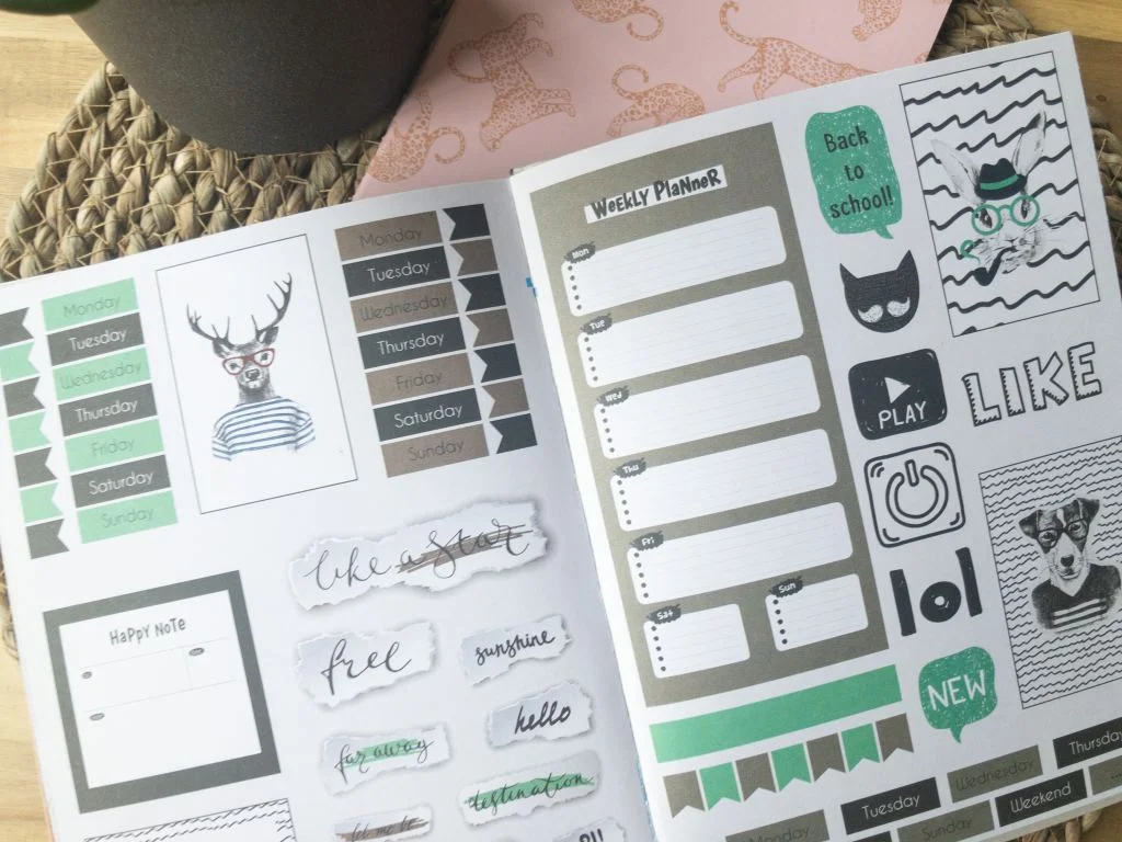 Action_bulletjournal_planner_stickers_scrapbooking_boeken_planner_mamablogger_