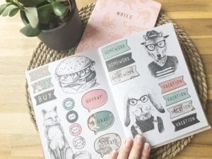 Action_bulletjournal_planner_stickers_scrapbooking_boeken_planner_mamablogger_