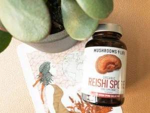 hooikoorts_reishi spore_paddenstoelsupplementen_lifestyle_mamablogger_