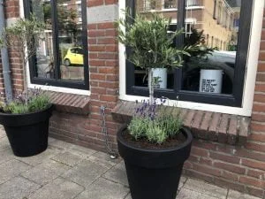 diary_visite_zon_barbecue_persoonlijk_tuin_puzzelen_mamablogger_