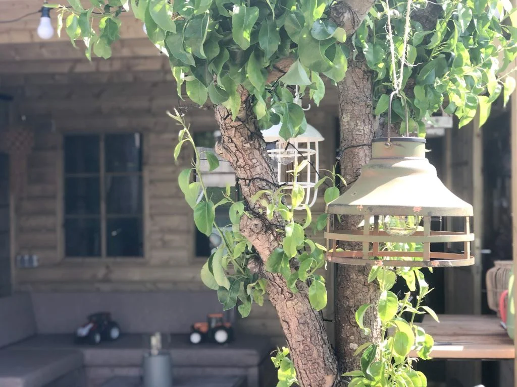overkapping_tuin_inrichten_Mamablogger_