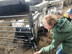 belevenisboerderij_Schieveen_Rotterdam_OERRR_review_dagje weg_low budget uitje_Rotterdam_mamablogger_