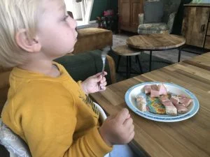 diary_visite_zon_barbecue_persoonlijk_tuin_puzzelen_mamablogger_