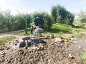 belevenisboerderij_Schieveen_Rotterdam_OERRR_review_dagje weg_low budget uitje_Rotterdam_mamablogger_