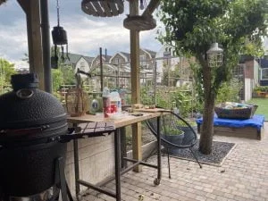 diary_energie_mamablogger_persoonlijk_verjaardag_barbecue_