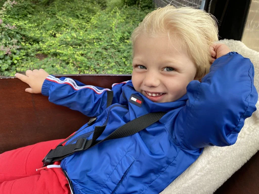 diary_energie_mamablogger_persoonlijk_verjaardag_barbecue_