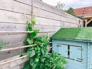 Moestuin_tuin_speelhuisje_update_mamablogger_