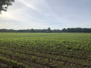 weekendje weg_hotel_cantharel_apeldoorn_mamablogger_vakantie_review_