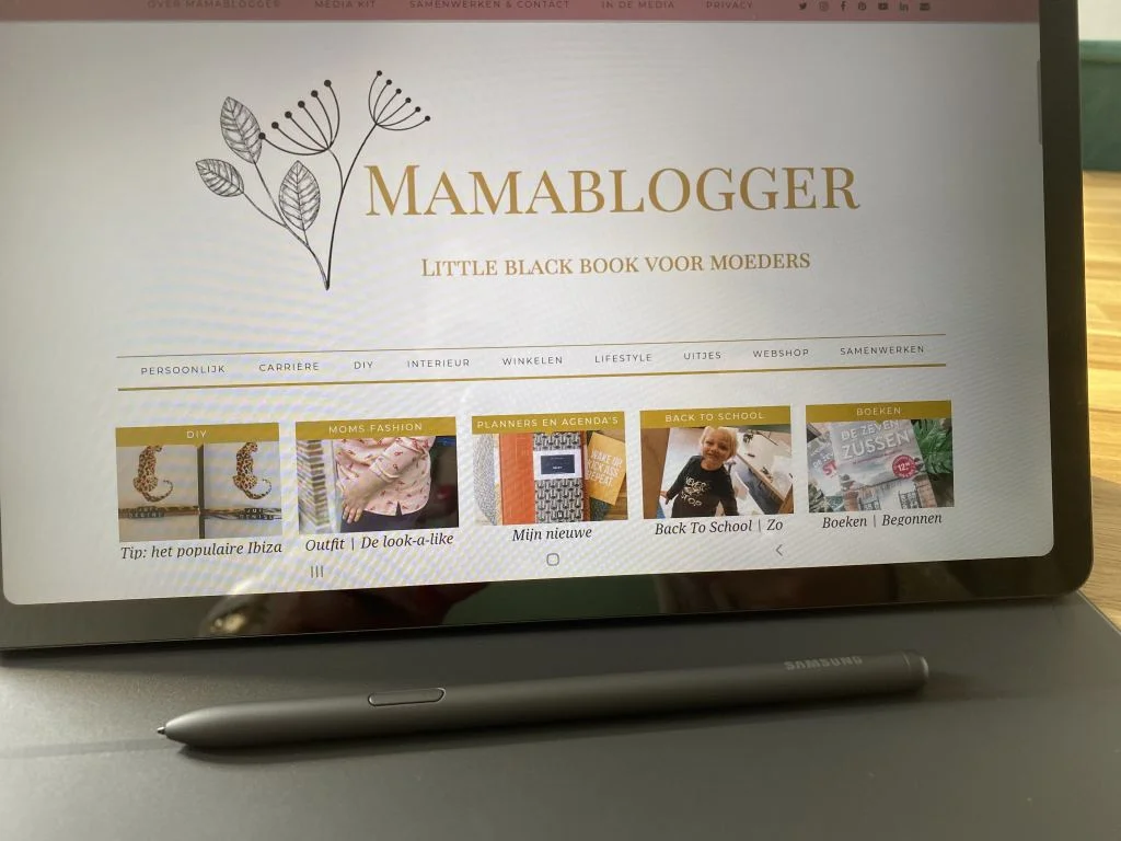 diary_energie_mamablogger_persoonlijk_verjaardag_barbecue_