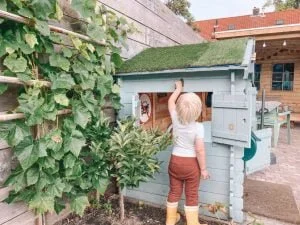 verslag_weekend_zomervakantie_diary_mamablogger_persoonlijk_