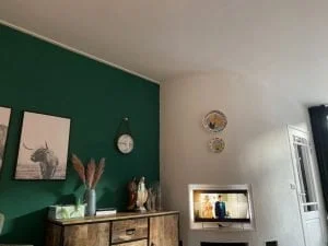 diary_mamablogger_persoonlijk_GGD_feestje_wandelen_