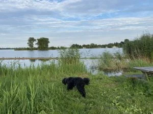 diary_schilderen_persoonlijk_vakantie_