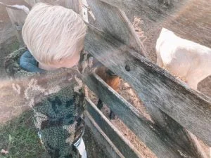 diary_tv_sbs6_bijkletsen_weekend weg_persreis_mamablogger_persoonlijk_