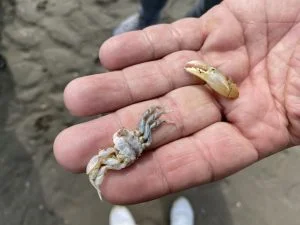diary_kijkers_huis_persoonlijk_bioscoop_verjaardag_strand_