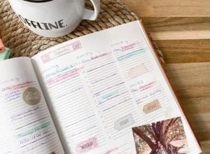 planner_Structuurjunkie_plannen_mamablogger_lifestyle_