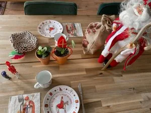 mies to go_Sinterklaas_servies_emaille_mamablogger_2020_