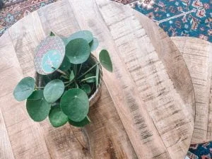 interieur_nieuwe wijk_verkennen_mamablogger_verhuizen_