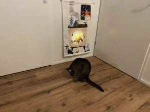 diary_vrij_datalek_gevallen_schip_persoonlijk_mamablogger_
