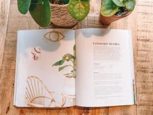 Smûk_boek_Wimke Tolsma_mamablogger_