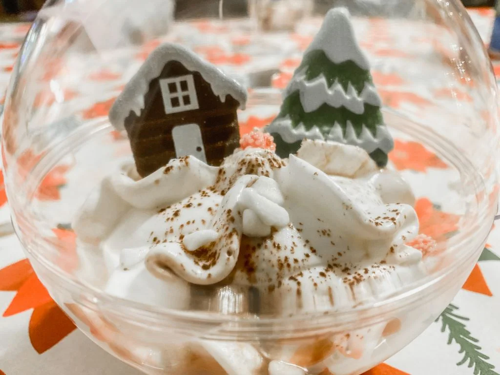 mini vakantie_diary_persoonlijk_kerst 2020_mamablogger_