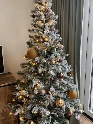 diary_persoonlijk_sinterklaas_Kerst_mamablogger_