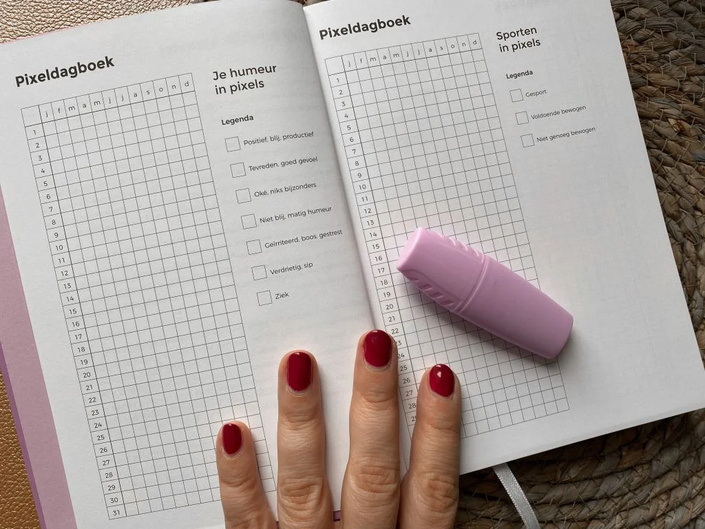 Structuurjunkie_dagboek_mamablogger_review_