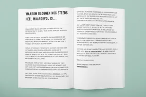 e-book_geld verdienen met blog_mamablogger-bloggen_tips_handvatten_