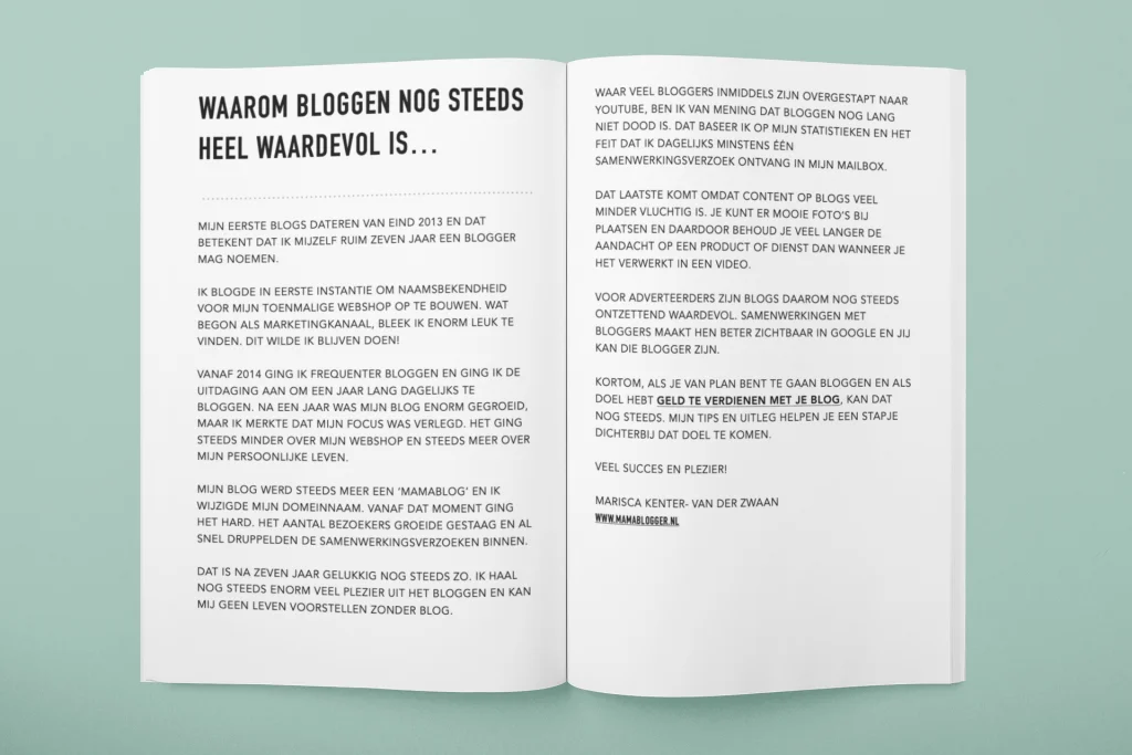 e-book_geld verdienen met blog_mamablogger-bloggen_tips_handvatten_