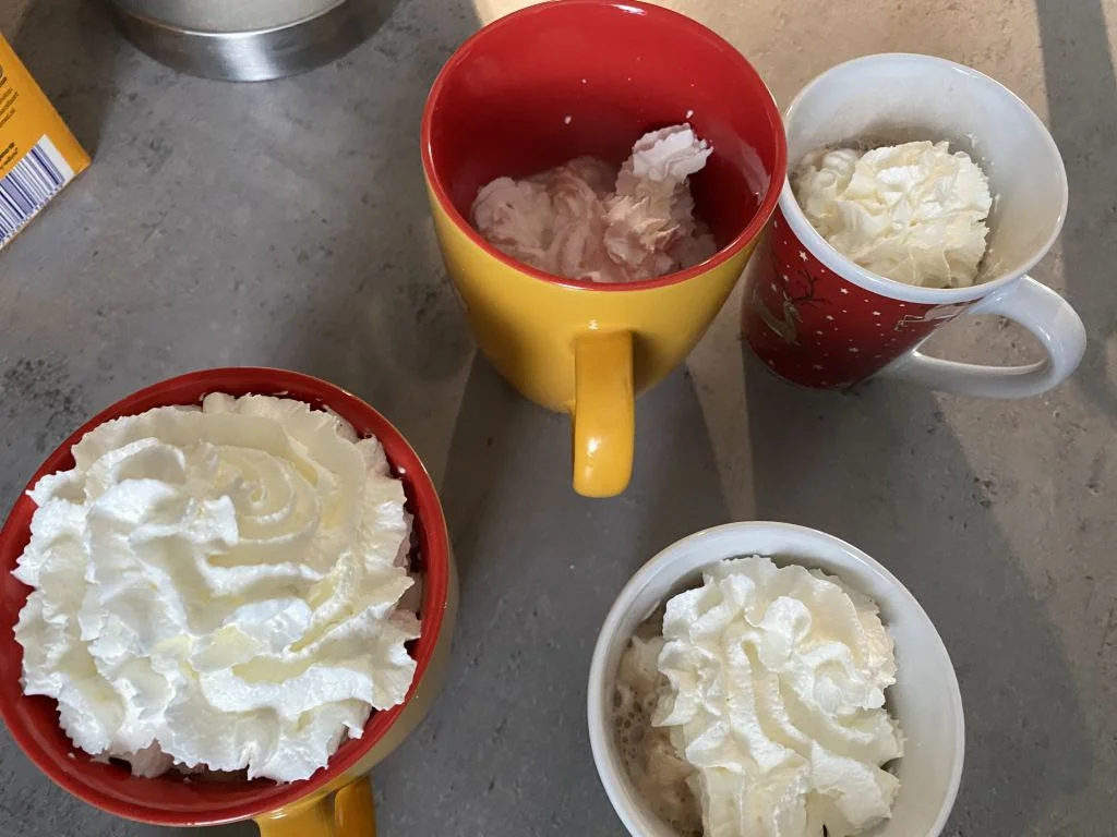 mini vakantie_diary_persoonlijk_kerst 2020_mamablogger_